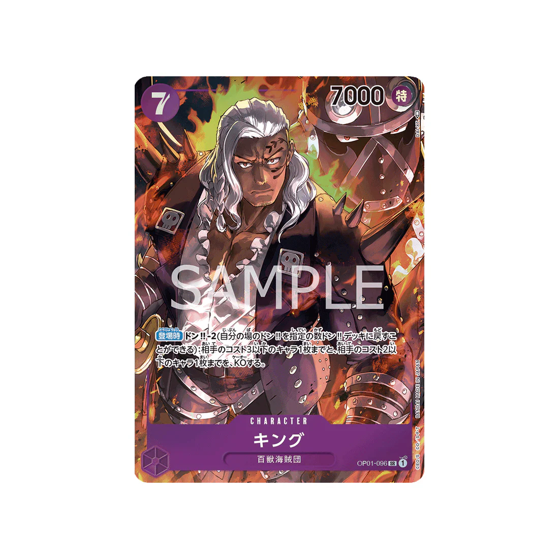 Image du produit 1