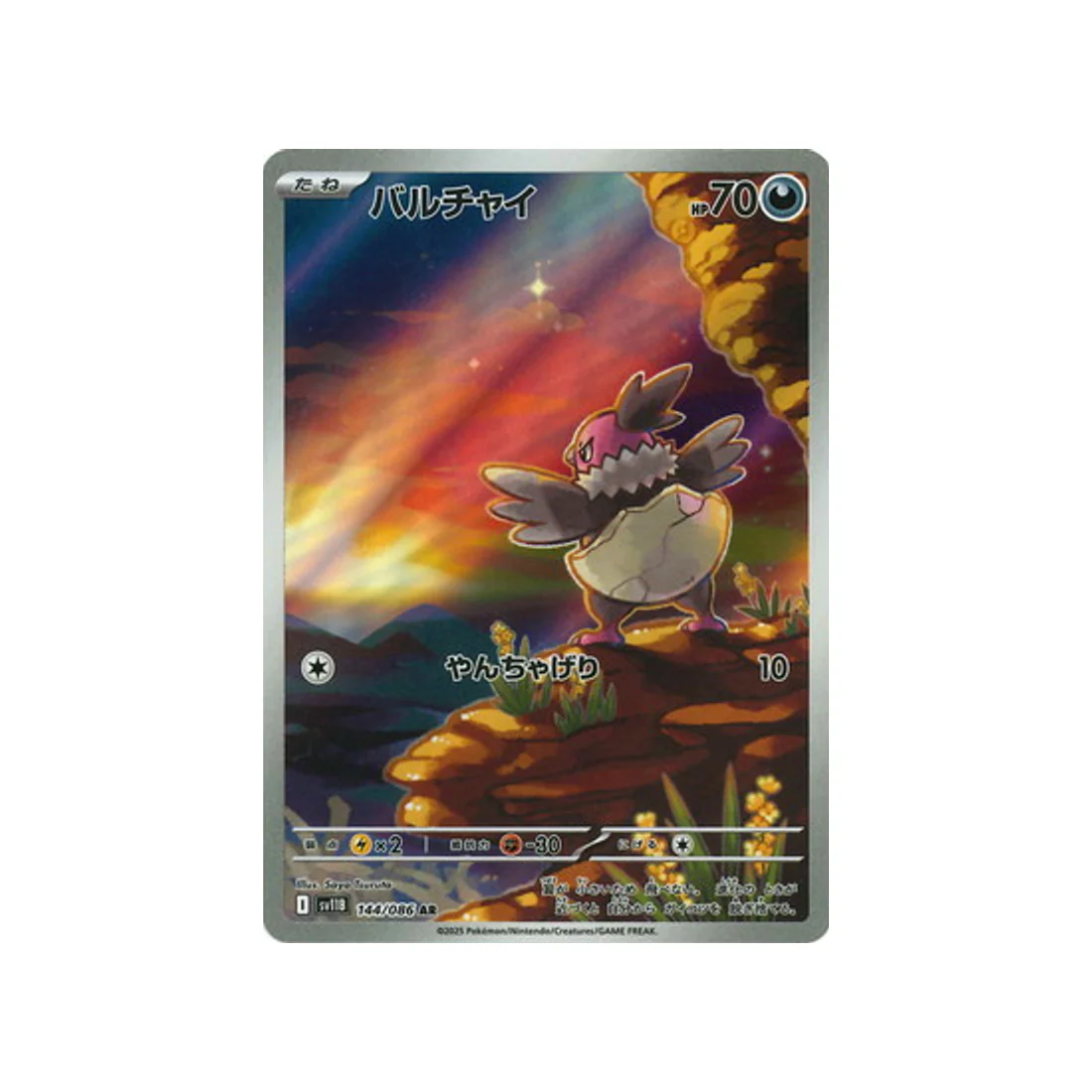 Image du produit 1