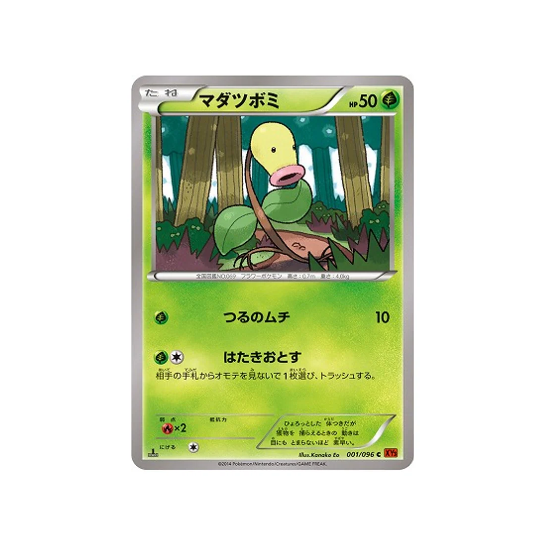 Image du produit 1