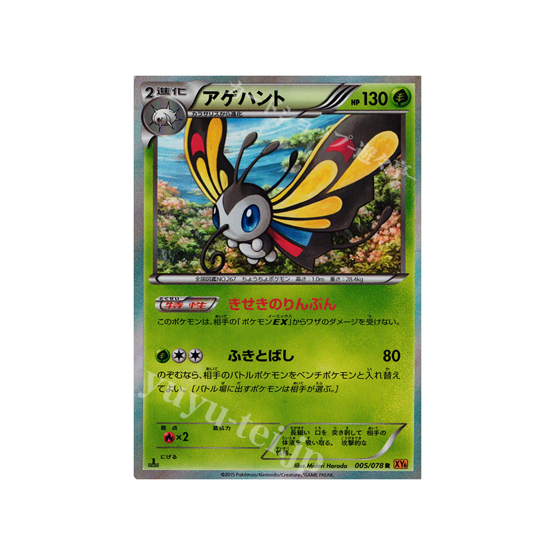 Image du produit 1